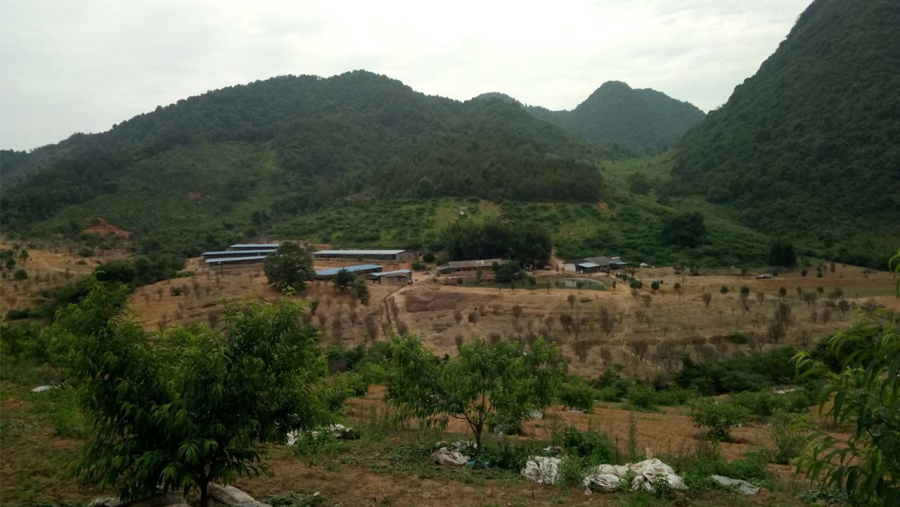 农场实拍1
